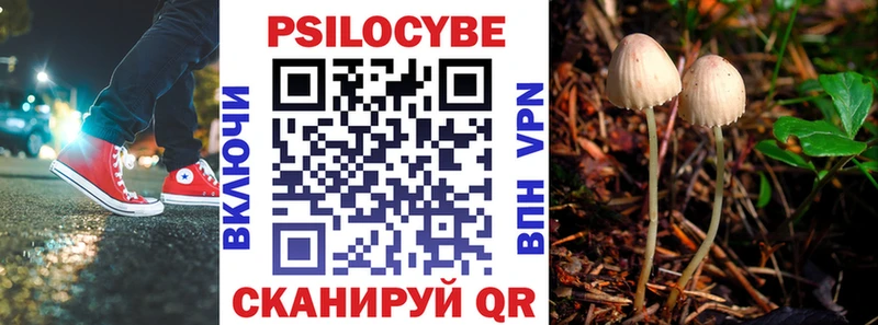 наркотики  Южно-Сухокумск  KRAKEN tor  Галлюциногенные грибы Magic Shrooms 